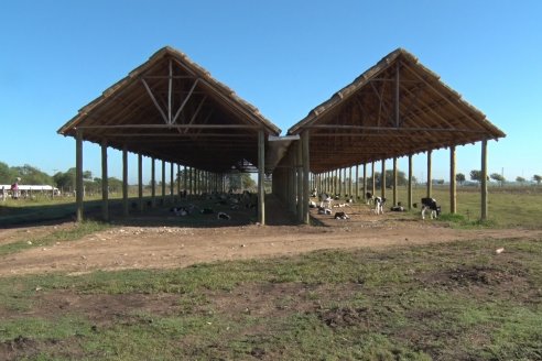 Visita a Estancia TAMA en Camps junto a la gente de DASER AGRO