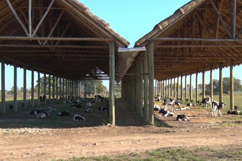 Visita a Estancia TAMA en Camps junto a la gente de DASER AGRO