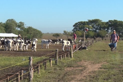 Visita a Estancia TAMA en Camps junto a la gente de DASER AGRO