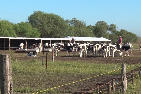 Visita a Estancia TAMA en Camps junto a la gente de DASER AGRO