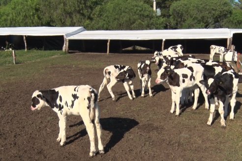 Visita a Estancia TAMA en Camps junto a la gente de DASER AGRO