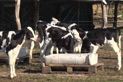 Visita a Estancia TAMA en Camps junto a la gente de DASER AGRO