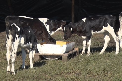 Visita a Estancia TAMA en Camps junto a la gente de DASER AGRO