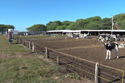 Visita a Estancia TAMA en Camps junto a la gente de DASER AGRO