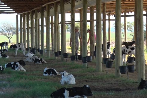 Visita a Estancia TAMA en Camps junto a la gente de DASER AGRO