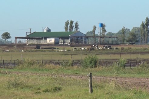 Visita a Estancia TAMA en Camps junto a la gente de DASER AGRO