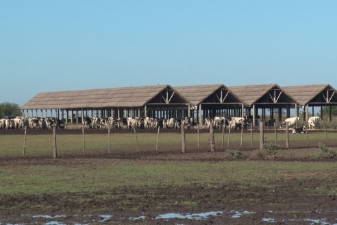 Visita a Estancia TAMA en Camps junto a la gente de DASER AGRO