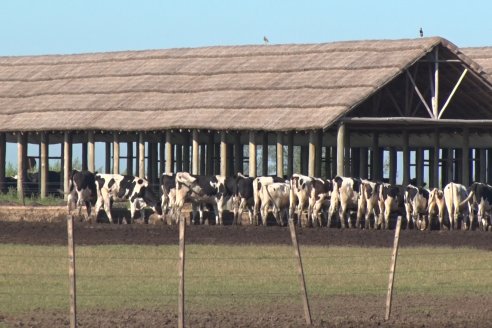 Visita a Estancia TAMA en Camps junto a la gente de DASER AGRO