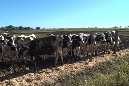 Visita a Estancia TAMA en Camps junto a la gente de DASER AGRO