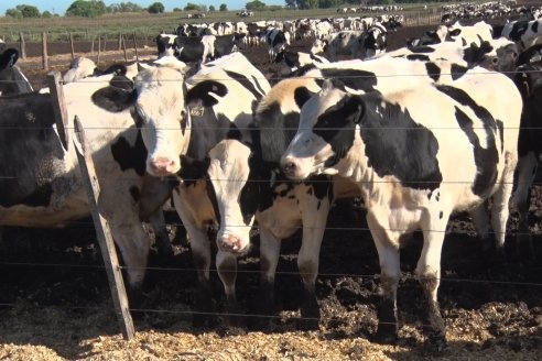 Visita a Estancia TAMA en Camps junto a la gente de DASER AGRO