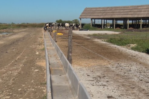 Visita a Estancia TAMA en Camps junto a la gente de DASER AGRO