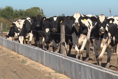 Visita a Estancia TAMA en Camps junto a la gente de DASER AGRO