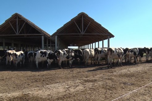 Visita a Estancia TAMA en Camps junto a la gente de DASER AGRO