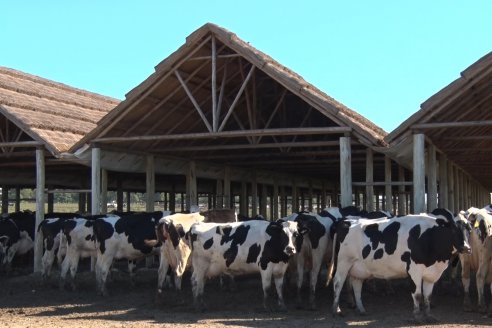 Visita a Estancia TAMA en Camps junto a la gente de DASER AGRO