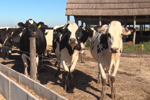 Visita a Estancia TAMA en Camps junto a la gente de DASER AGRO