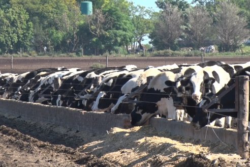 Visita a Estancia TAMA en Camps junto a la gente de DASER AGRO