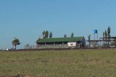 Visita a Estancia TAMA en Camps junto a la gente de DASER AGRO