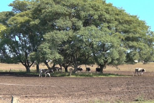 Visita a Estancia TAMA en Camps junto a la gente de DASER AGRO