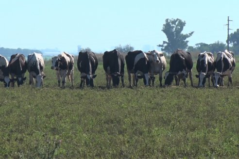 Visita a Estancia TAMA en Camps junto a la gente de DASER AGRO