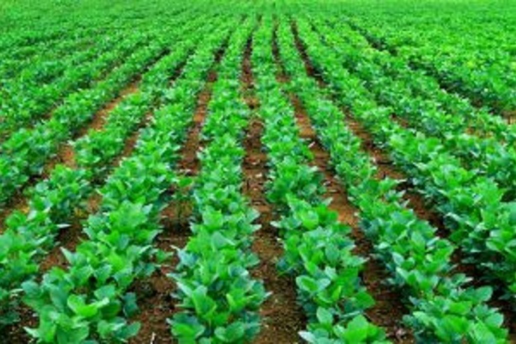 El mercado europeo reconoce a productores que hacen agricultura sustentabl