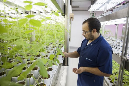 La compañía líder global en inoculantes para soja es argentina y se llama Rizobacter