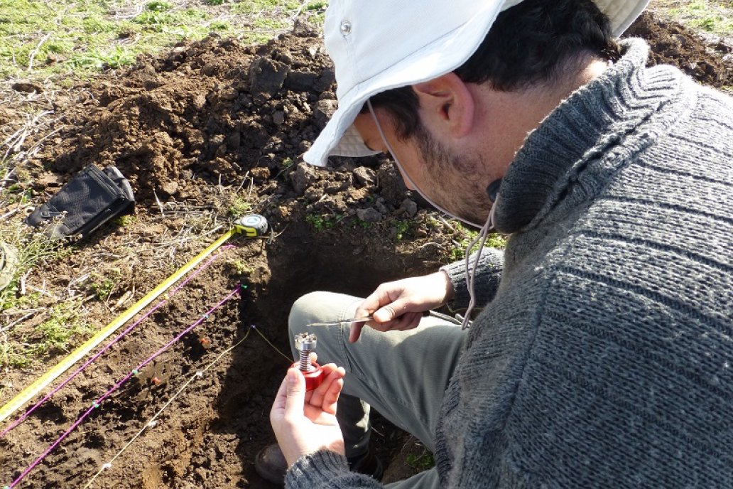 Analizar y elegir los fertilizantes apropiados empieza a ser un hábito masivo.