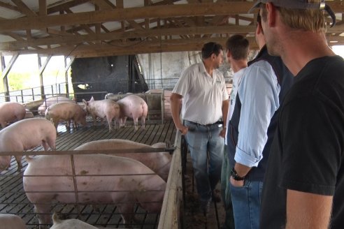 Visita a Estableciento La Delfina - Una producción mixta que encontró en el cerdo un agregado de valor