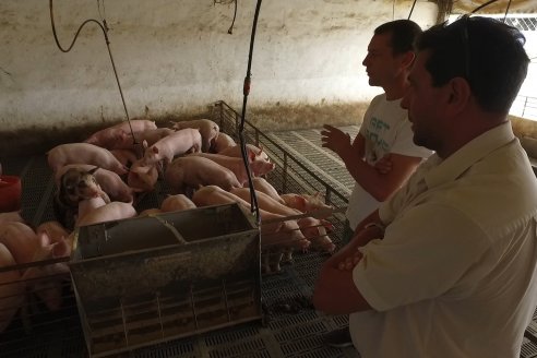 Visita a Estableciento La Delfina - Una producción mixta que encontró en el cerdo un agregado de valor