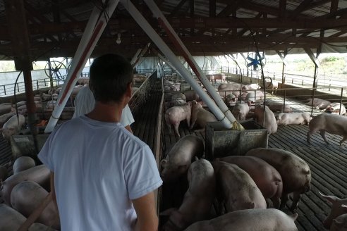 Visita a Estableciento La Delfina - Una producción mixta que encontró en el cerdo un agregado de valor