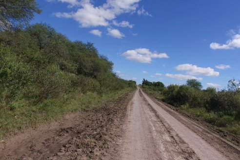 Visita a Estableciento La Delfina - Una producción mixta que encontró en el cerdo un agregado de valor