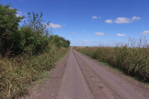 Visita a Estableciento La Delfina - Una producción mixta que encontró en el cerdo un agregado de valor