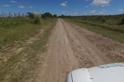 Visita a Estableciento La Delfina - Una producción mixta que encontró en el cerdo un agregado de valor