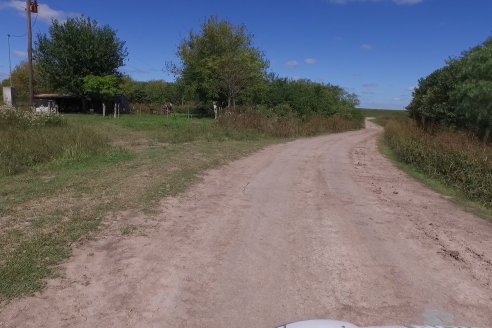 Visita a Estableciento La Delfina - Una producción mixta que encontró en el cerdo un agregado de valor