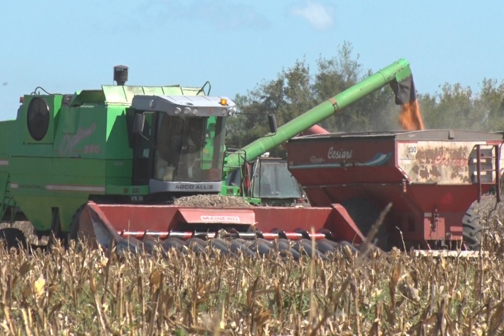 Queda poco por recolectar, el 12%, pero el promedio puede cambiar un poco.