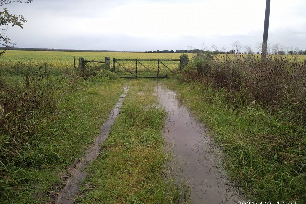 En Gualeguay cayeron poco más de 20 milímetros, entre las marcas mas altas.
