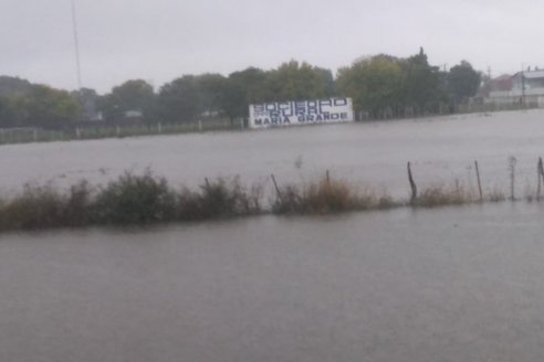 Productores informan cómo les va con las lluvias en sus campos