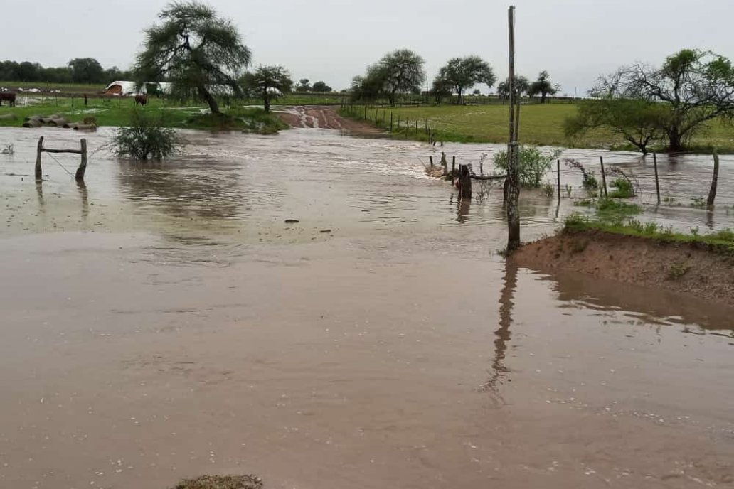 Jorge Srebernich mandó postal de su casmpo cerca de Escuela Yapeyú.