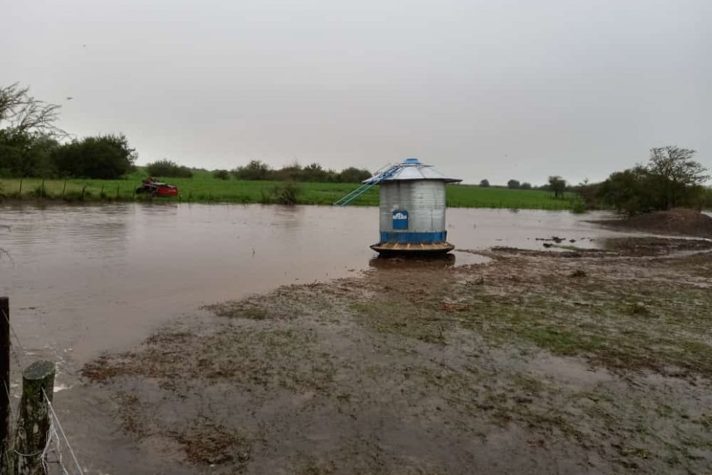 El comedero de Srebernich ya se parece a una aguada