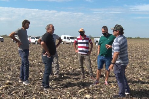 Presentacion a Campo - Rastra Multipropósito Kelly Giorgi Diamond Harrow 30/9 - El Tatú Maquinarias