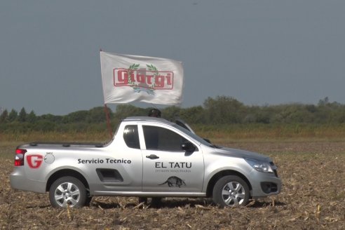 Presentacion a Campo - Rastra Multipropósito Kelly Giorgi Diamond Harrow 30/9 - El Tatú Maquinarias