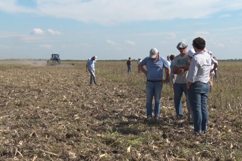 Presentacion a Campo - Rastra Multipropósito Kelly Giorgi Diamond Harrow 30/9 - El Tatú Maquinarias