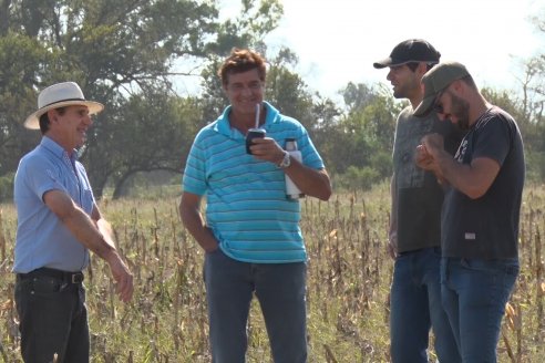 Presentacion a Campo - Rastra Multipropósito Kelly Giorgi Diamond Harrow 30/9 - El Tatú Maquinarias