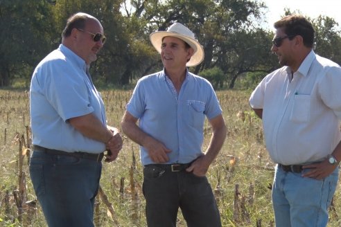 Presentacion a Campo - Rastra Multipropósito Kelly Giorgi Diamond Harrow 30/9 - El Tatú Maquinarias