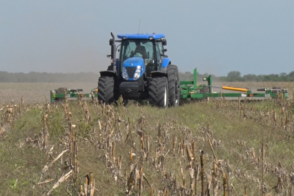 Campo en Acción dio cuenta de las labores en un lote que viene de maíz.