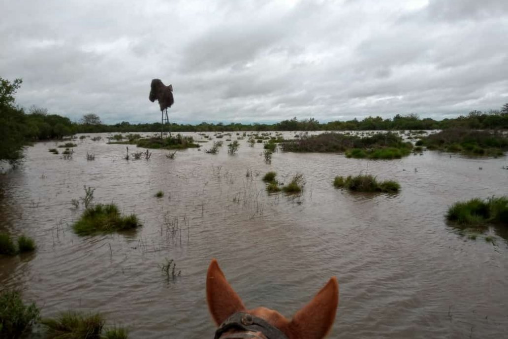 En campos de Costa Grande, las zonas bajas se cubrieron de agua. En campos de Costa Grande, las zonas bajas se cubrieron de agua.