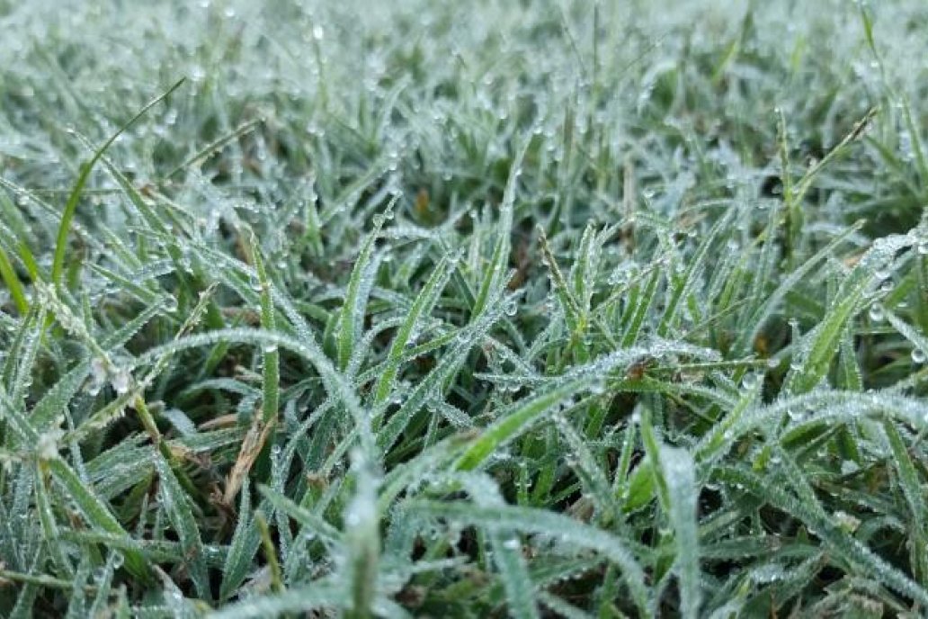 Pronosticadores avisan que una masa de aire frio puede dejar heladas aisladas.