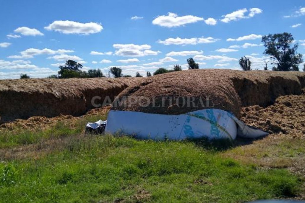El sitio de noticias Campo Litoral dio cuenta del hecho de inseguridad. El sitio de noticias Campo Litoral dio cuenta del hecho de inseguridad.