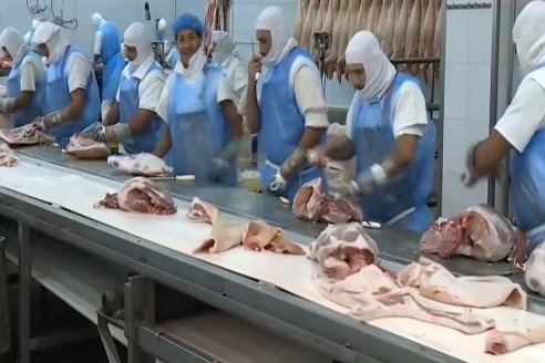 En Entre Ríos, la faena de porcinos trepó a 794.000 cabezas durante 2022