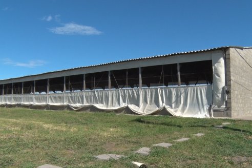 Marcelo Pagliaruzza - Gte.Coop.Agric.Gan.Aranguren Ltda.- Exportación de Carne de Cerdo