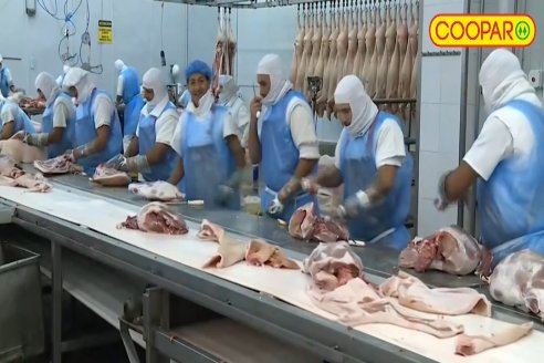 Marcelo Pagliaruzza - Gte.Coop.Agric.Gan.Aranguren Ltda.- Exportación de Carne de Cerdo